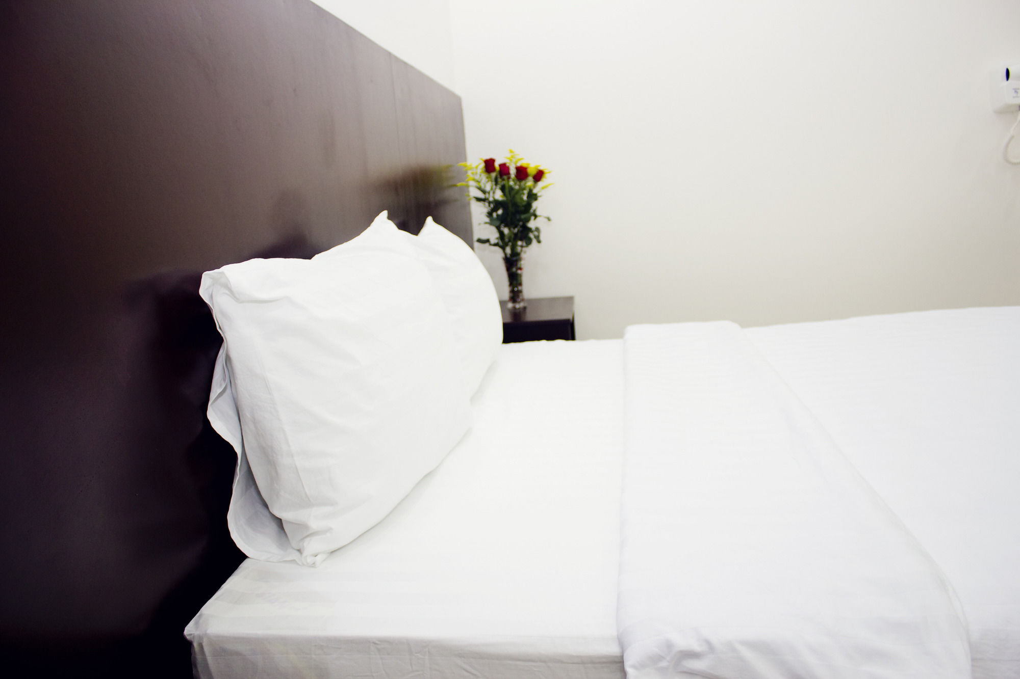 Thy Phuong Danang Hotel