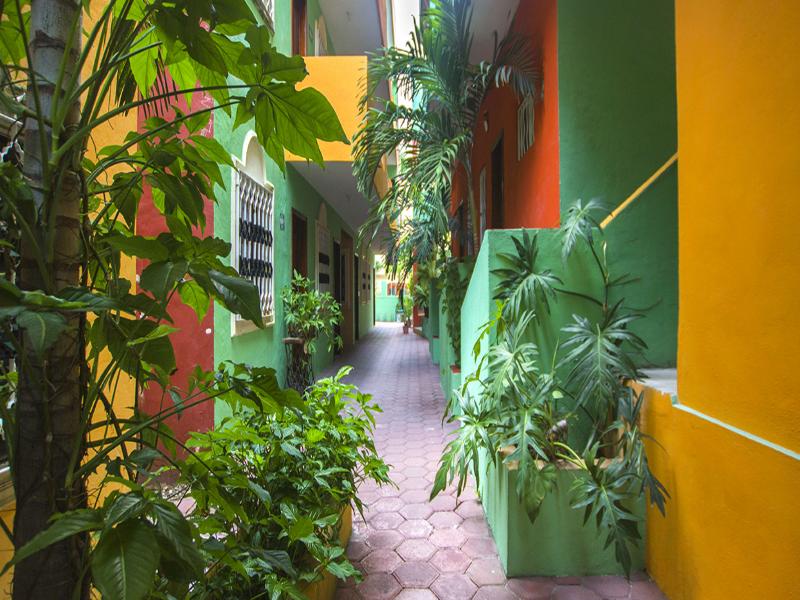 Ko'ox Playa Hotel