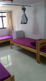 Golden Hostel