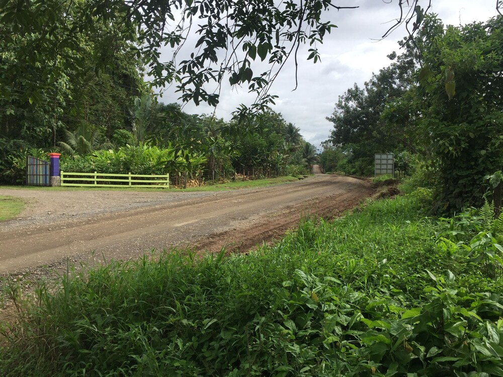 Cinco Ceibas Rainforest Reserve