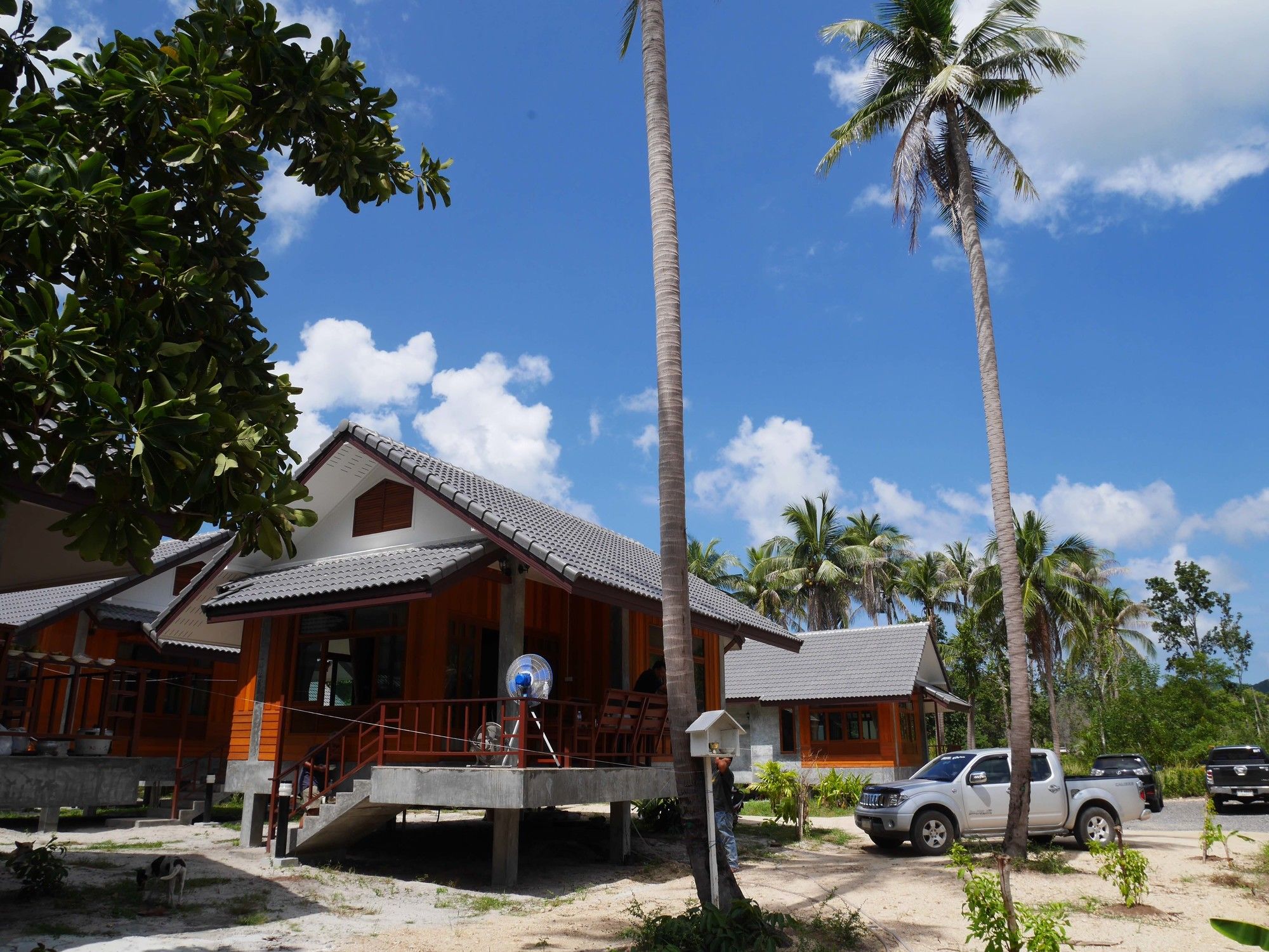 Nature Home