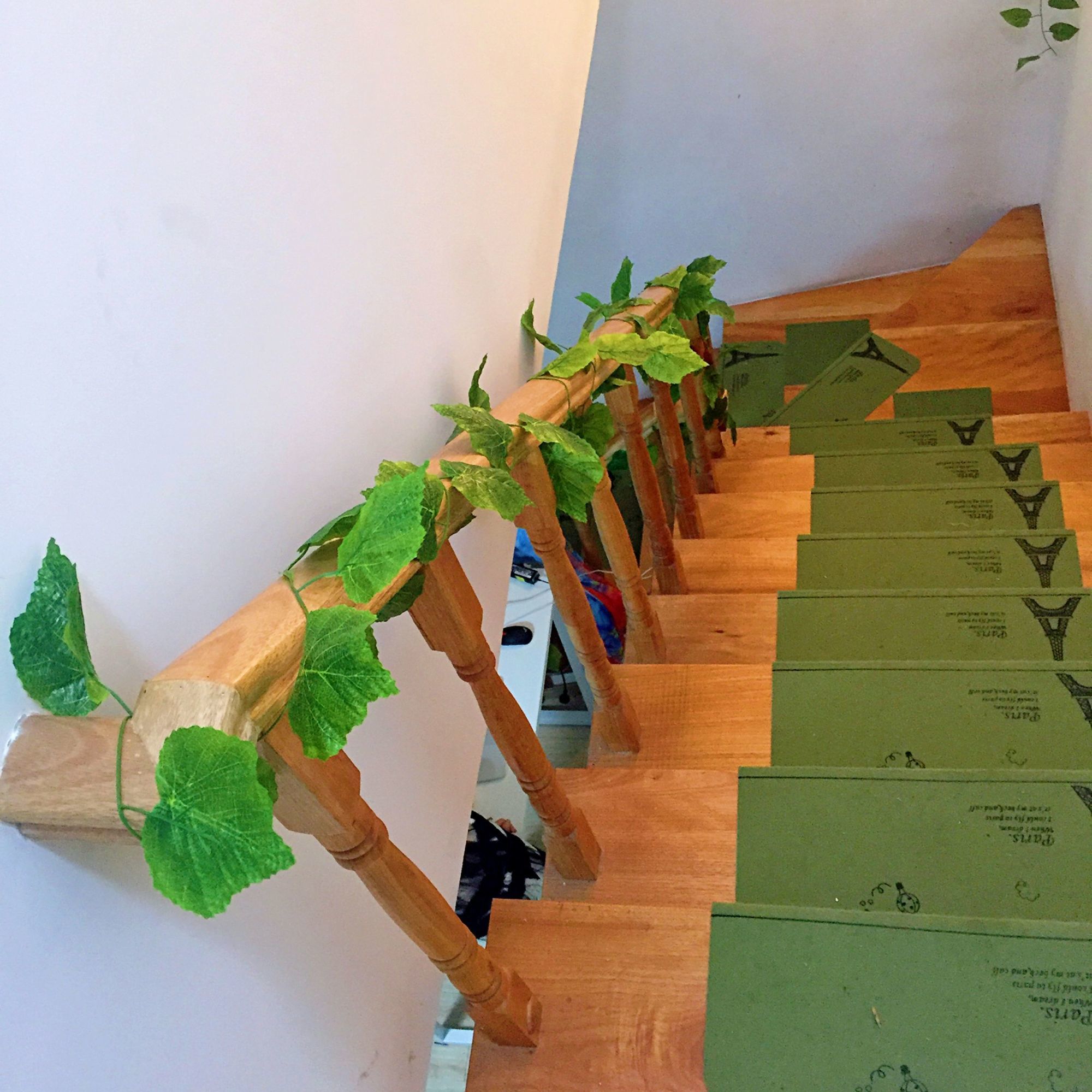 Shanghai Summer International Youth Hostel