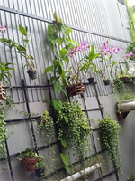 The Flora Boutique Hotel