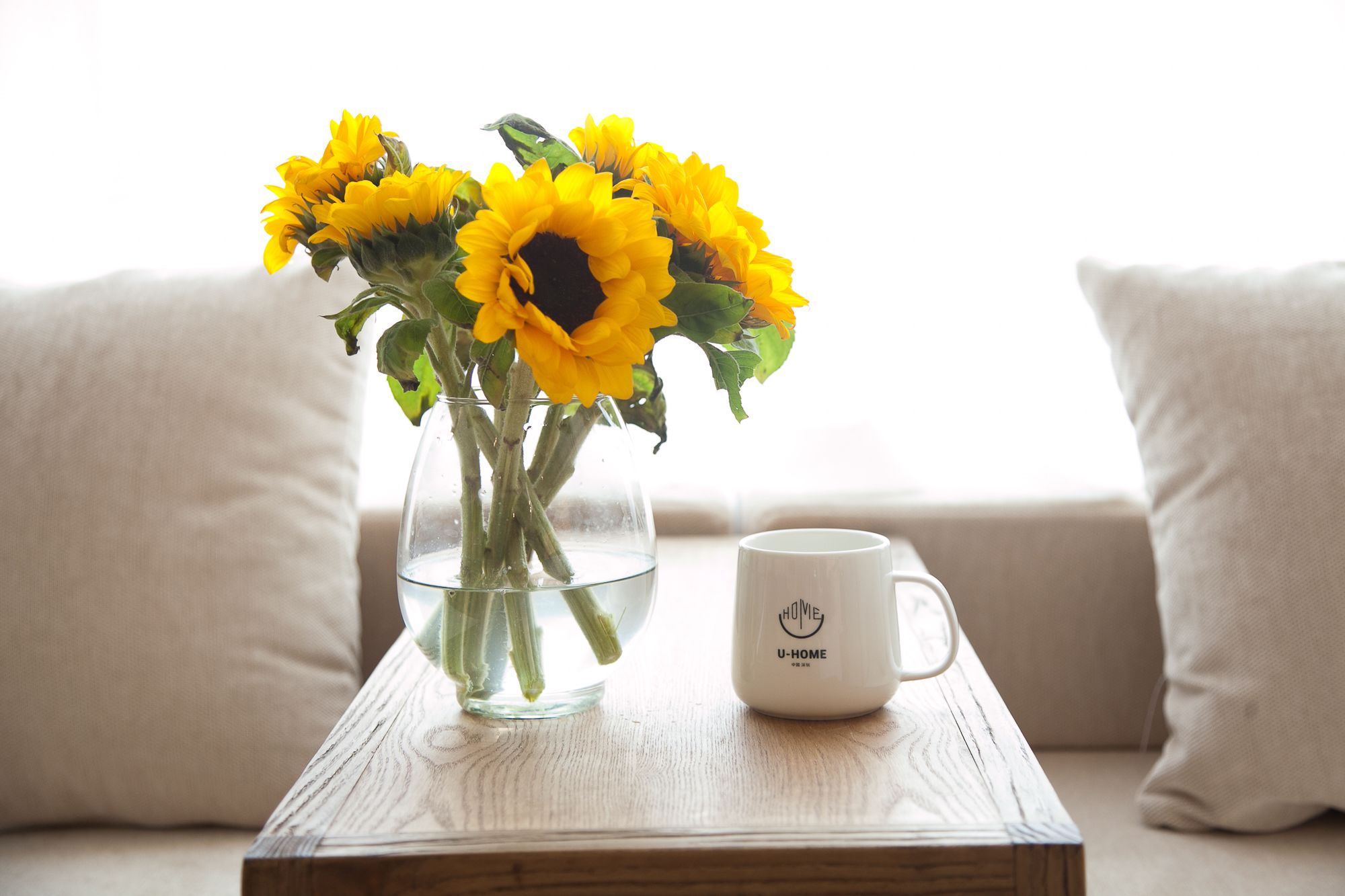 Shenzhen U Home Apartment Huangguang