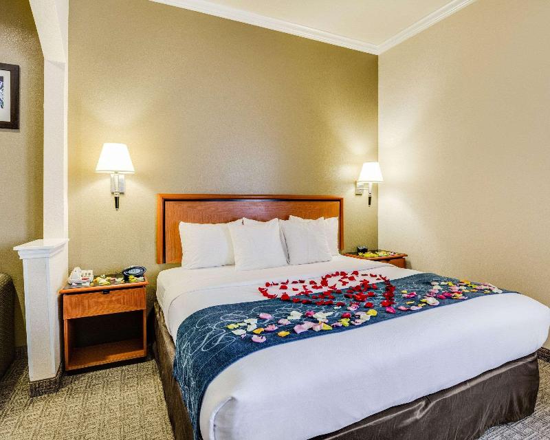 Comfort Suites Deer Park