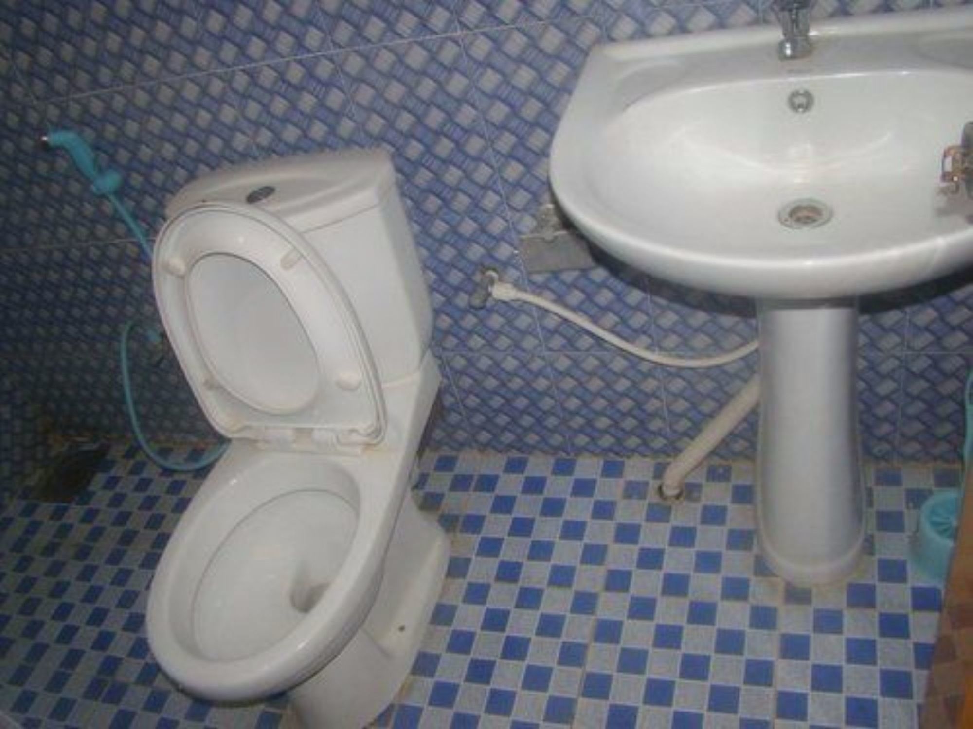 Alp Guest