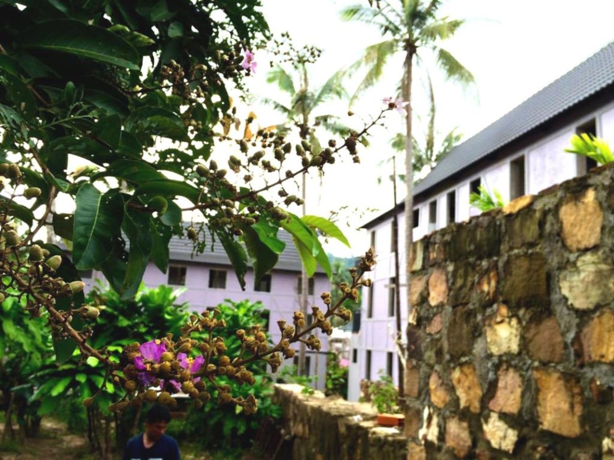 Coco Valley Garden Hotel