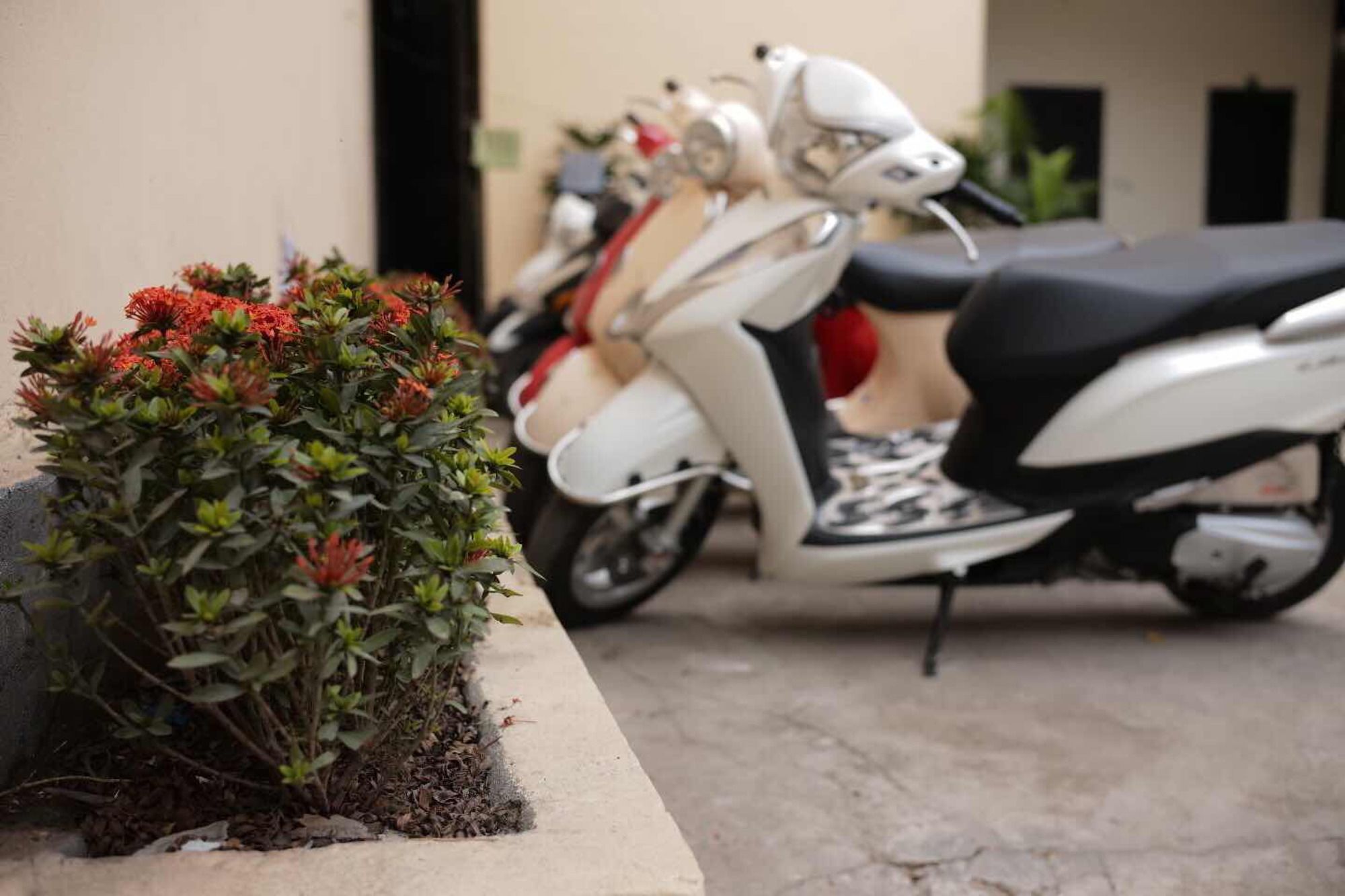 Peony House Trade Hotel II