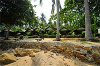Royal Orchid Resort