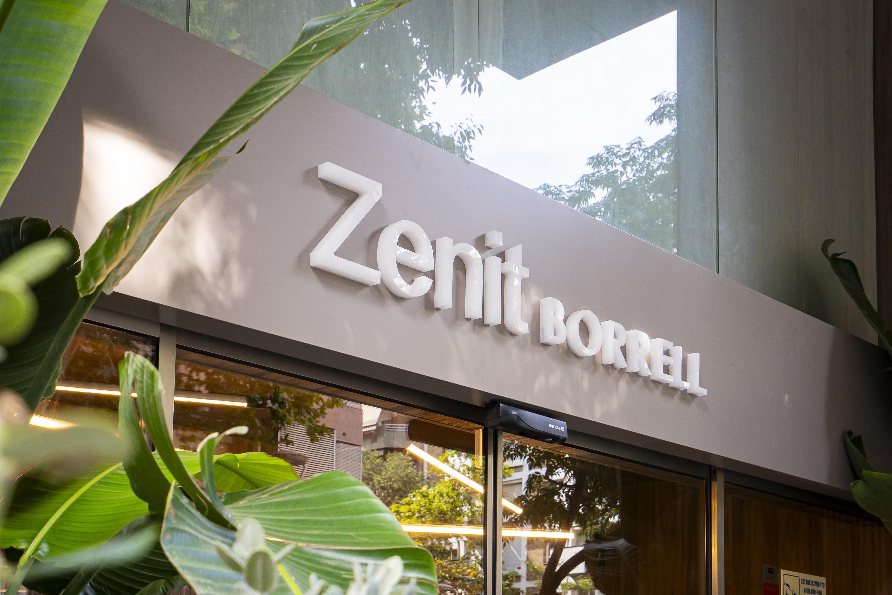 Zenit Borrell