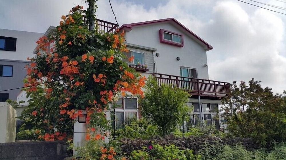 BDGR BnB Hostel