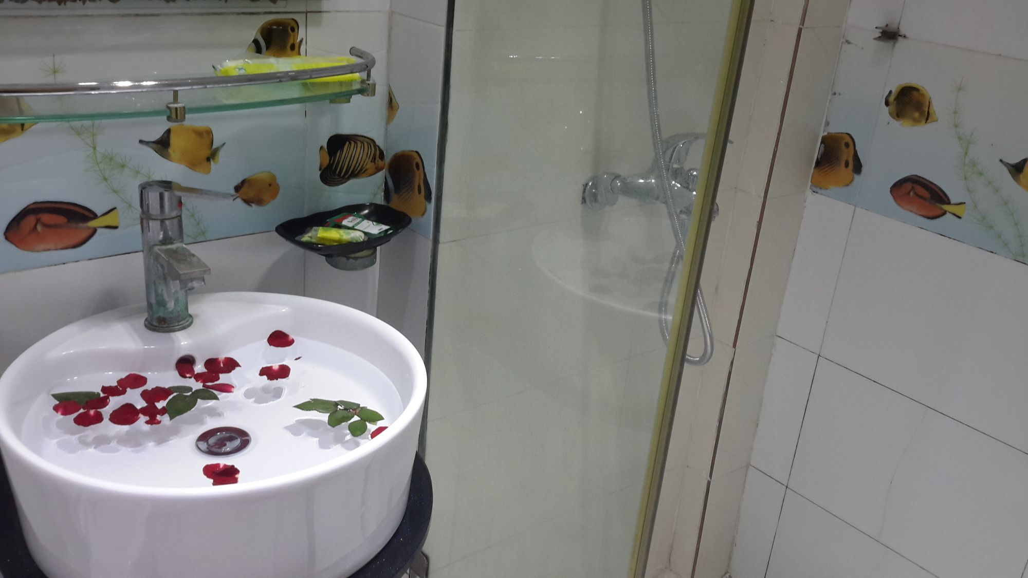Vietnam Glamor Travel And Homestay