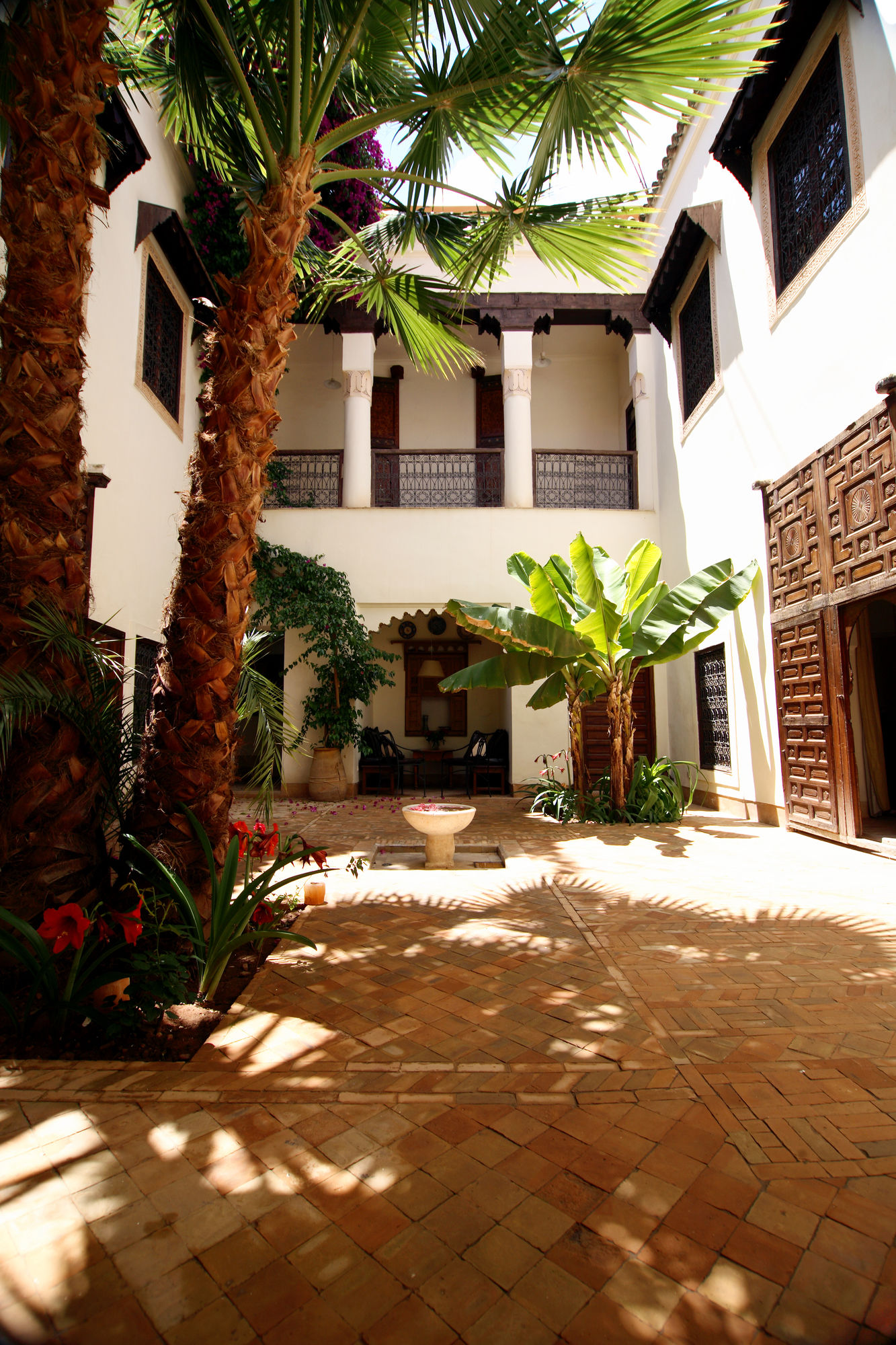 Riyad El Cadi