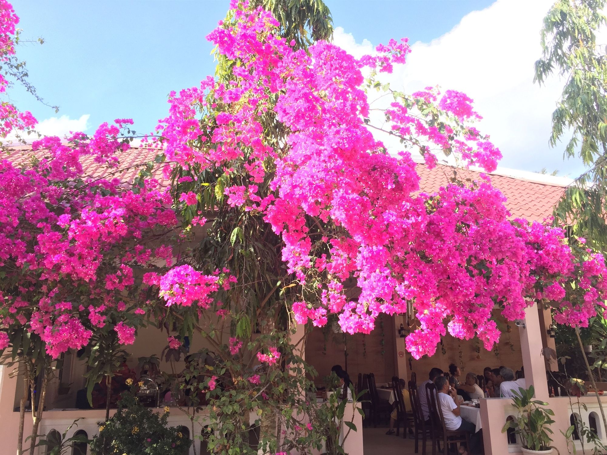 Hiep Thanh Resort