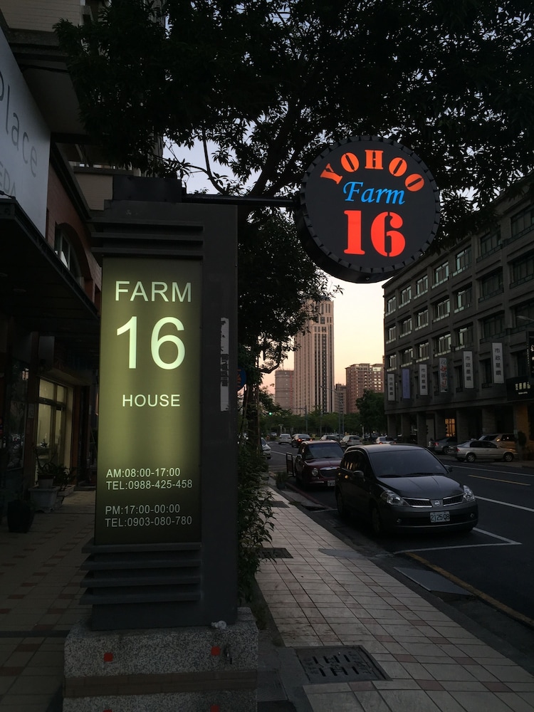 Yo Hoo Farm 16