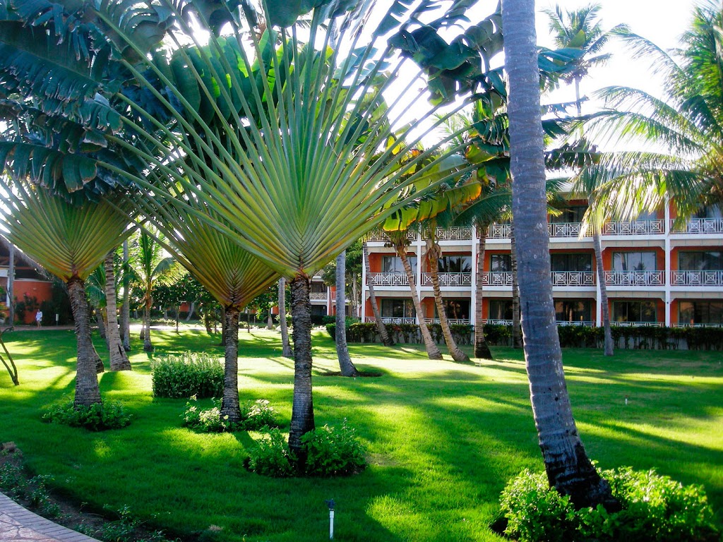 VIK Hotel Arena Blanca, foto 4