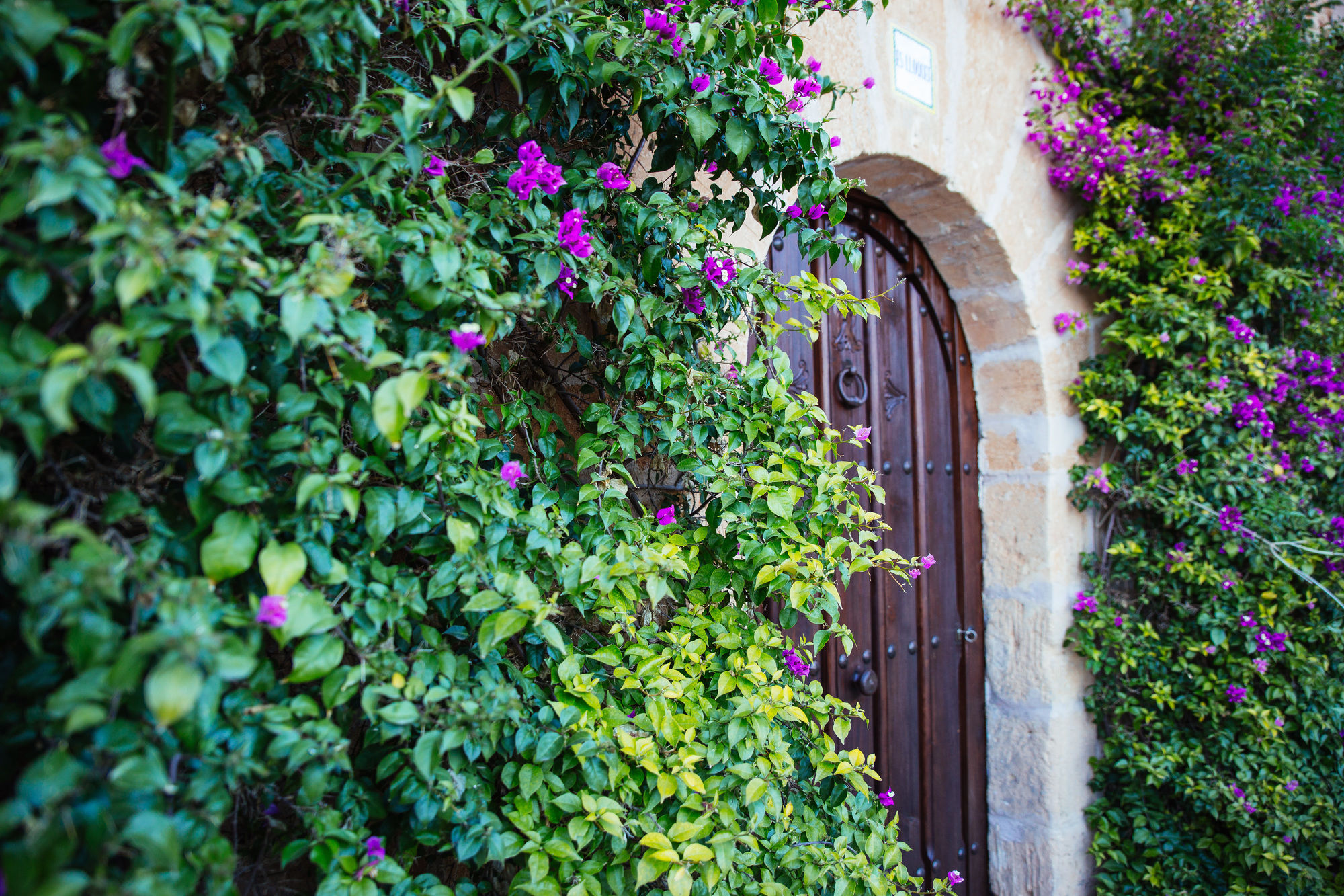 Hotel Es Lloquet - Adults Only