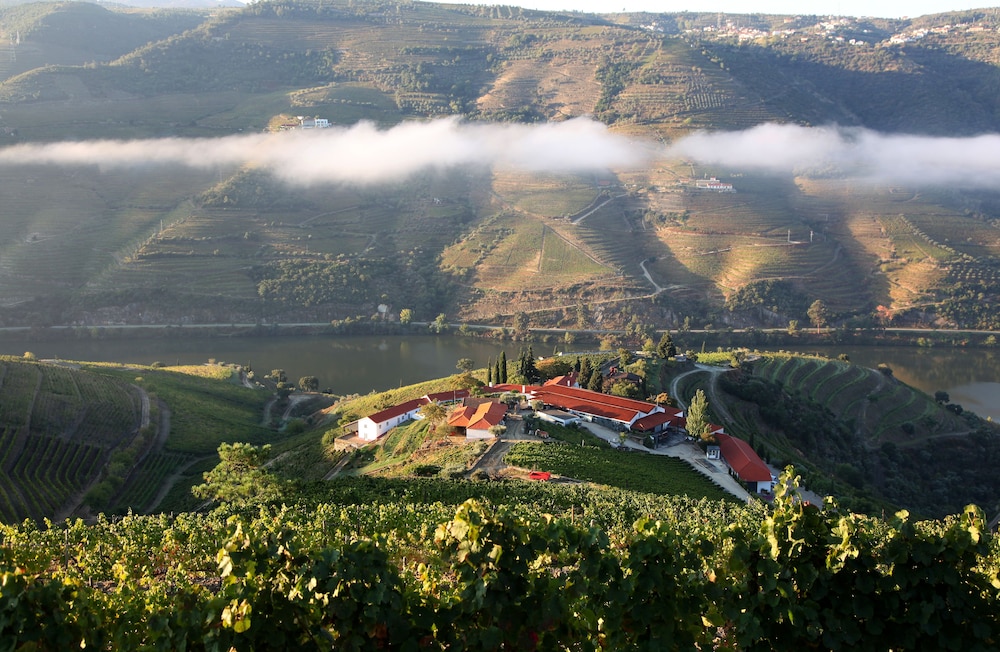 Quinta Nova de Nossa Senhora do Carmo - Winery House
