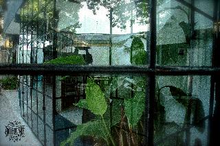 Radio Tulum
