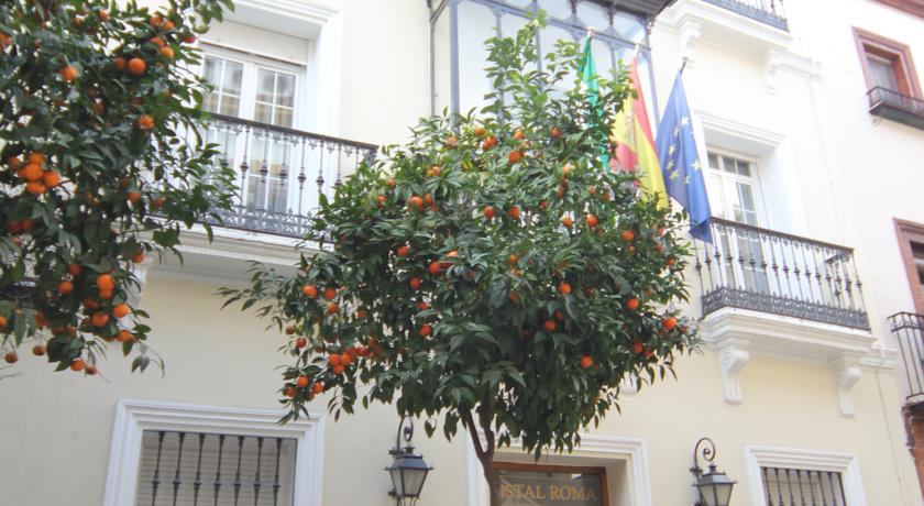 Hostal Roma