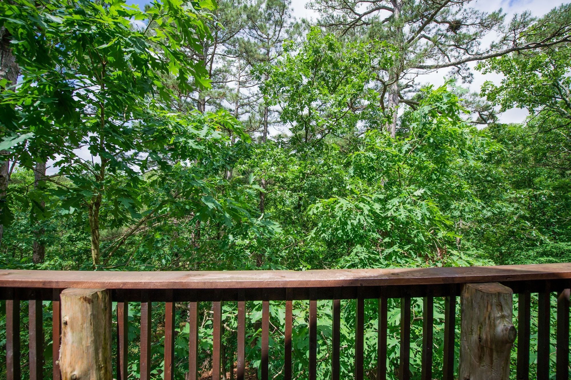 Eureka Springs Treehouses, Caves, Castles & Hobbits