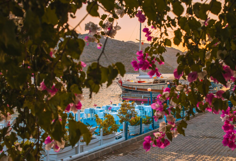 Anfora Hotel