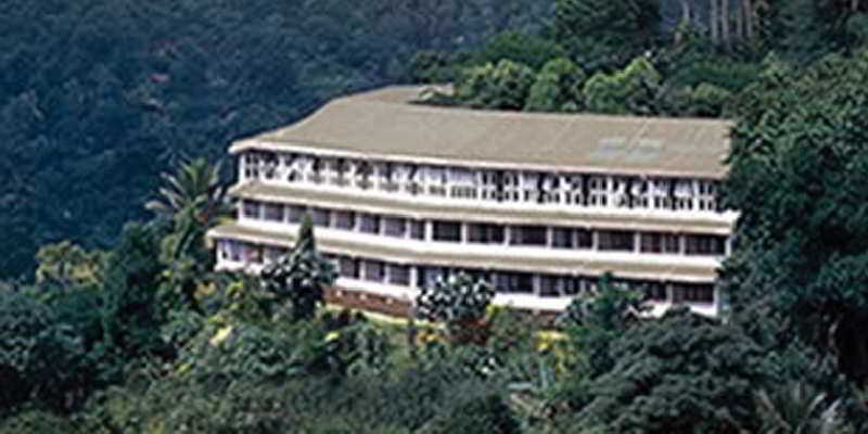 Hill Top