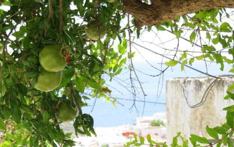 Herife Villa
