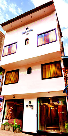 Inti Punku Alameda Inn