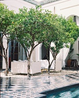 Riad Privilege
