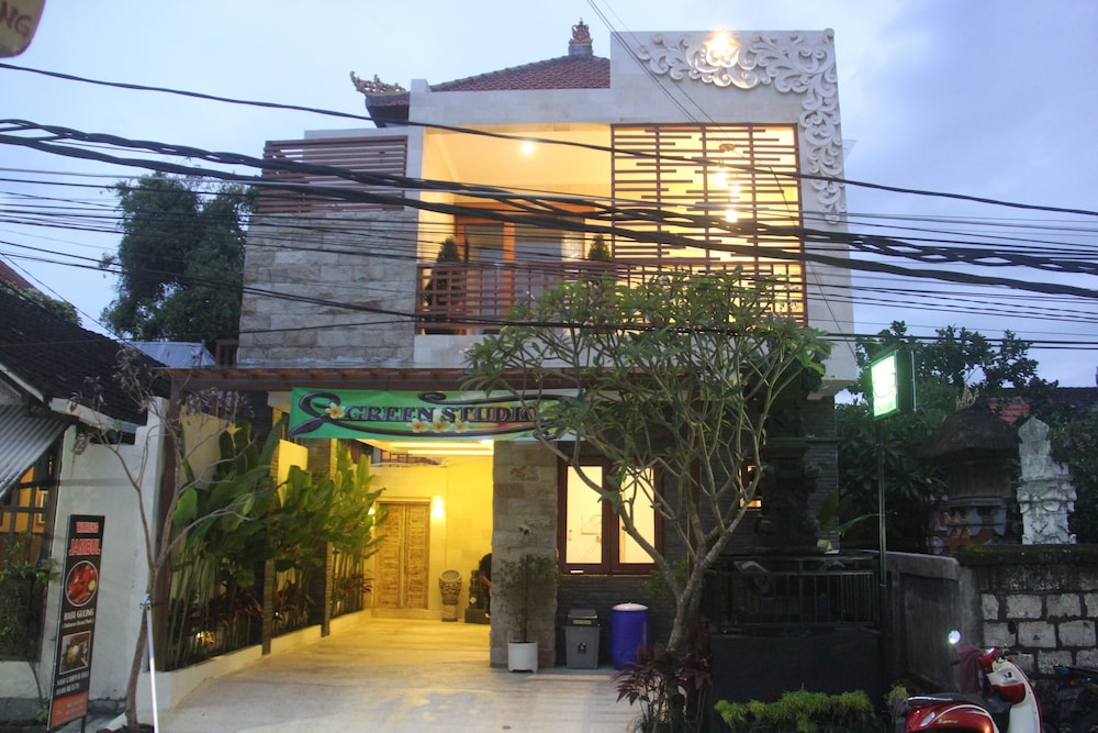 Green Studio Apartment