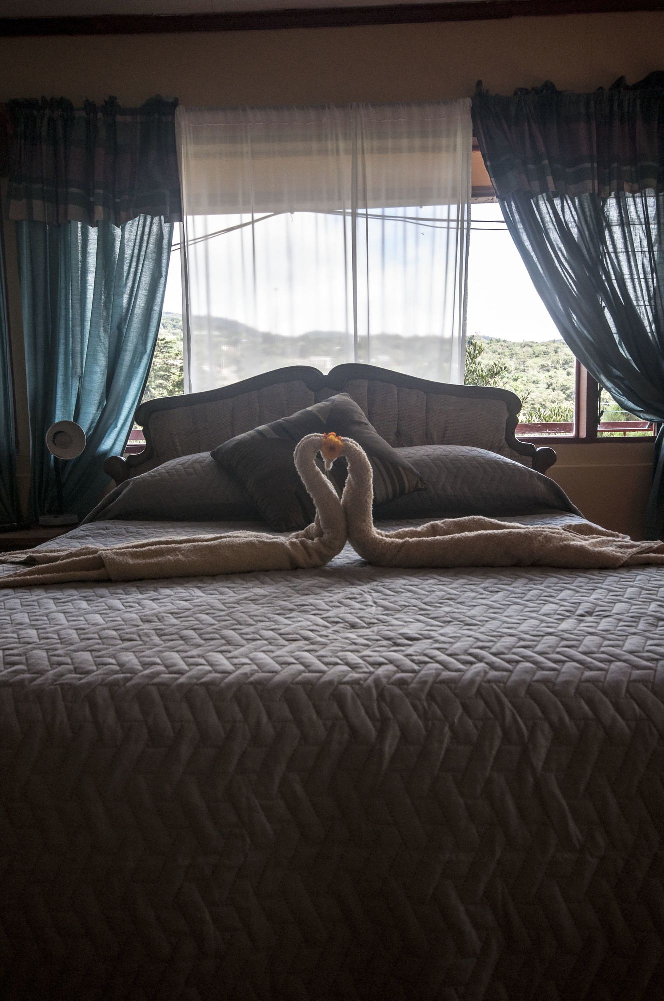 Hummingbird House B&B