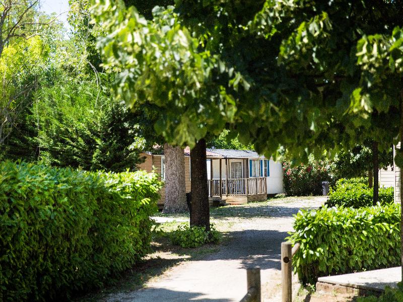 Camping Tiber