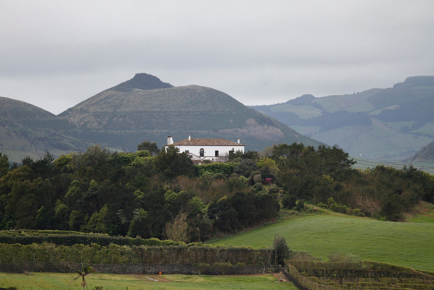 Pico do Refugio
