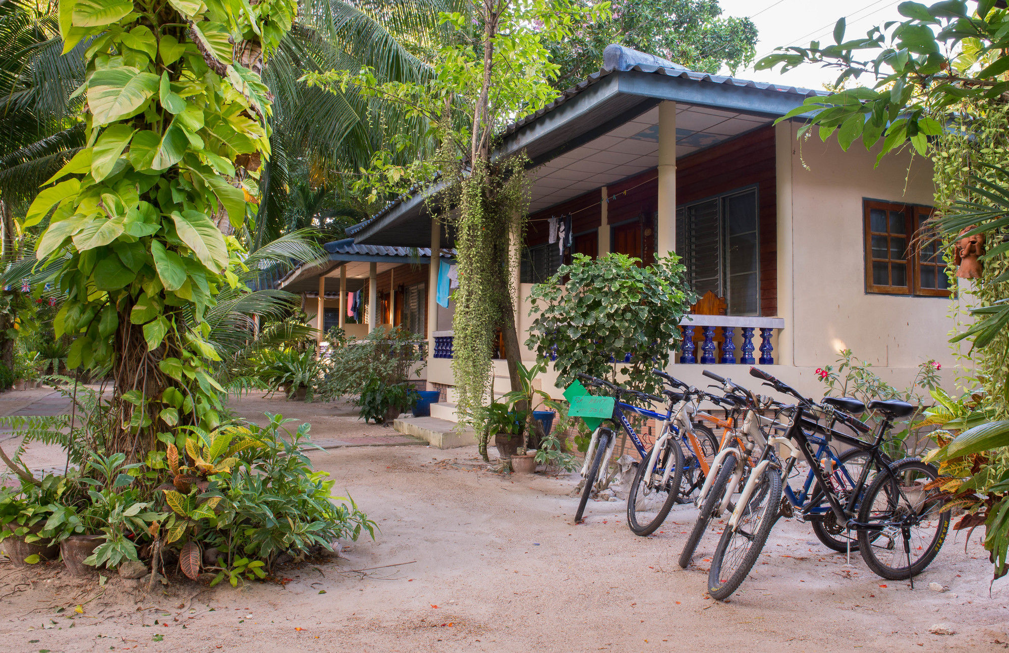 Koh Tao Tropicana Resort