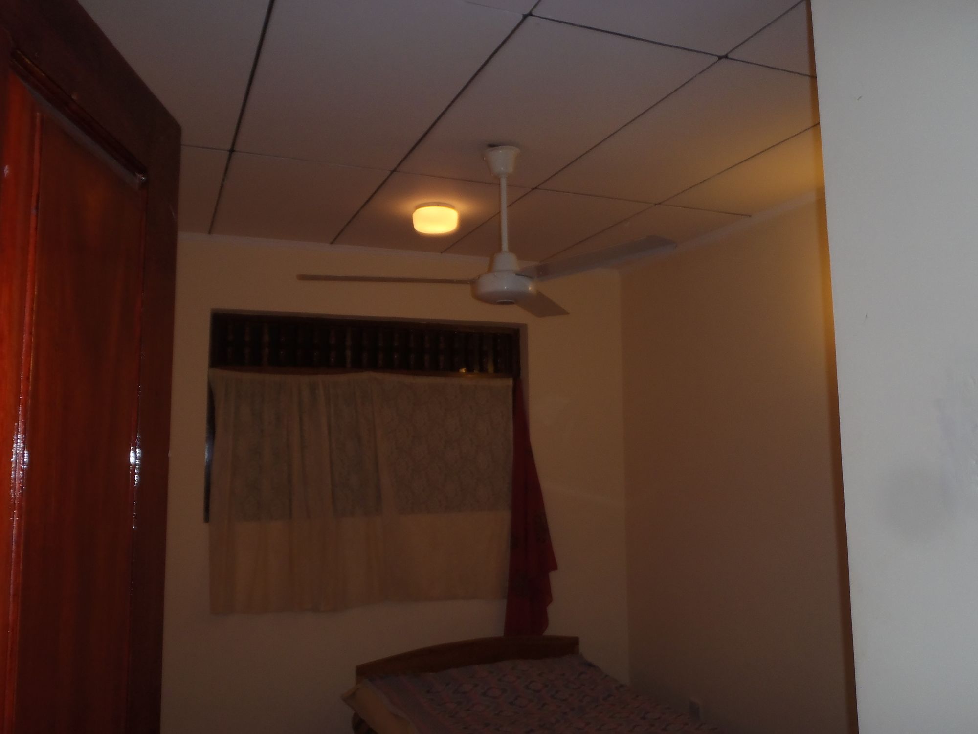 Hikkaduwa Beach Monkey