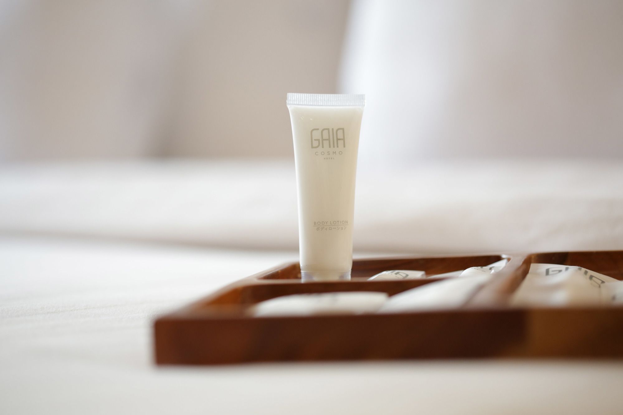 Gaia Cosmo Hotel
