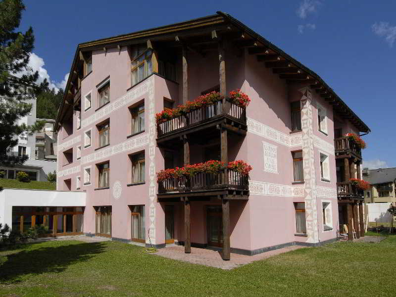 Cervus