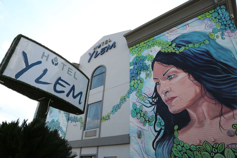 Hotel Ylem