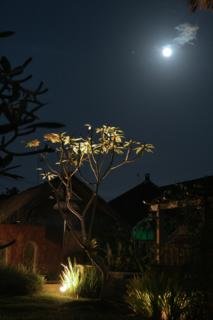Ubud Garden Villa