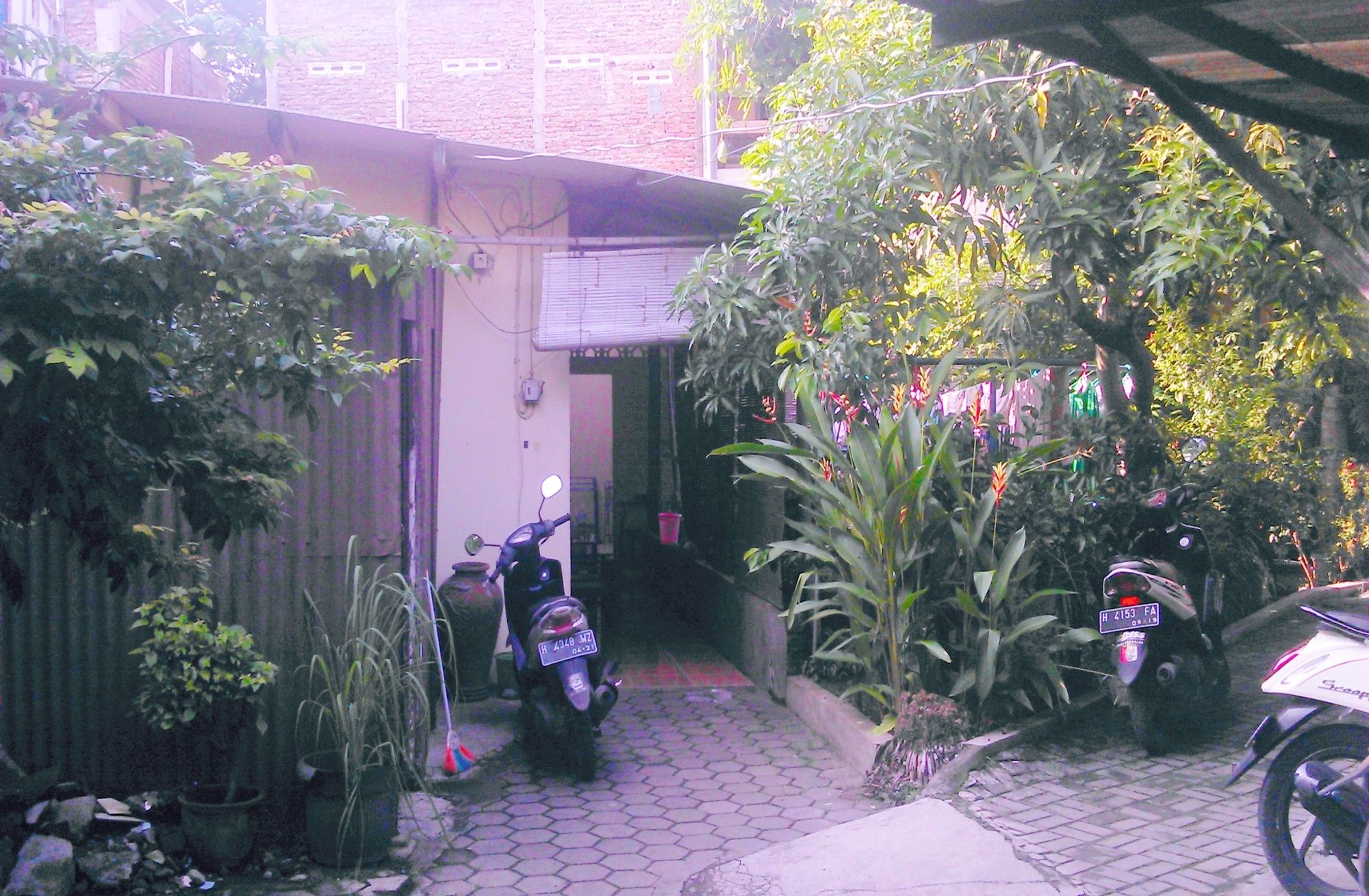 Kost Semarang Peterongan Timur