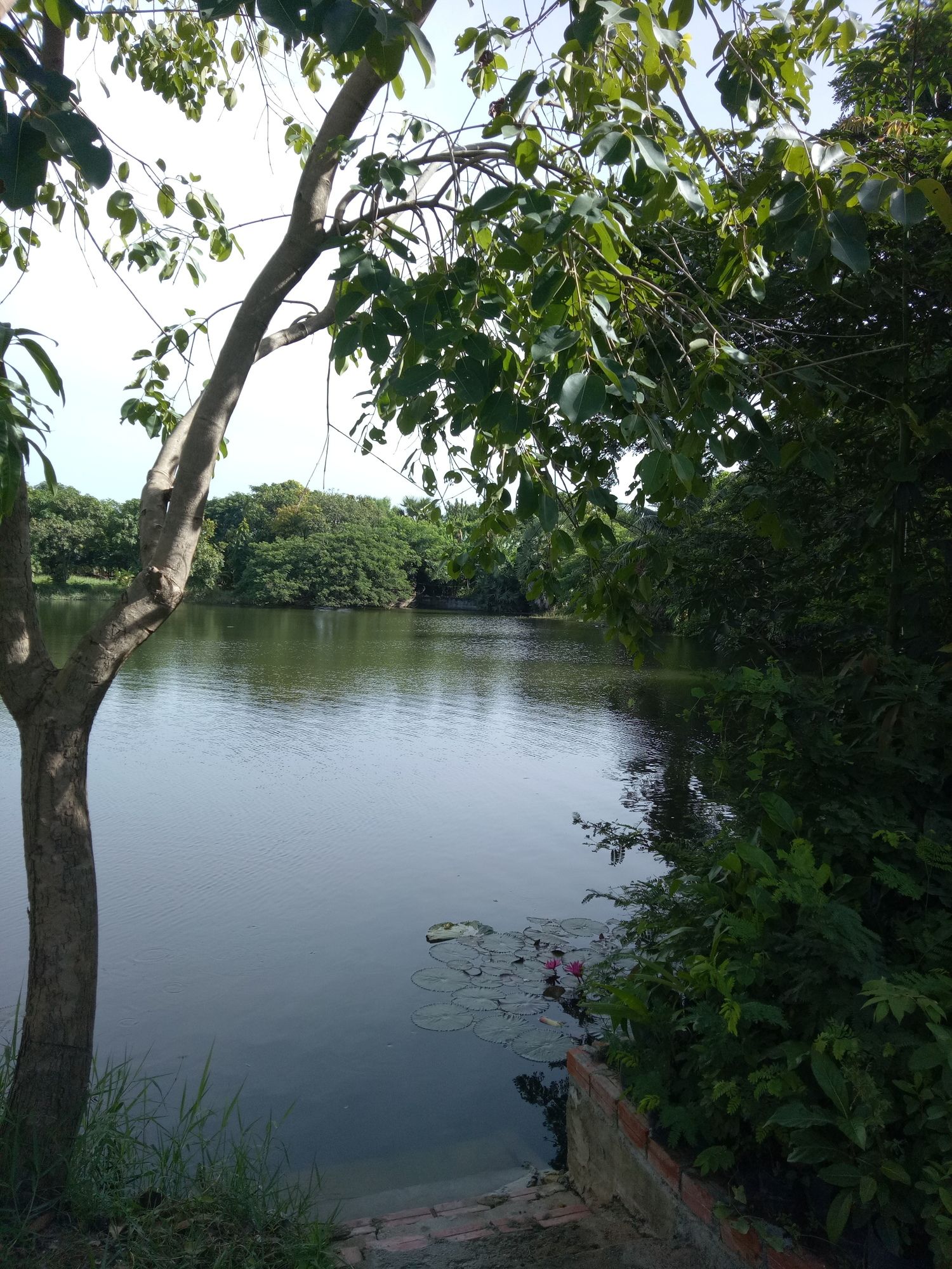 Samathi Lake Resort