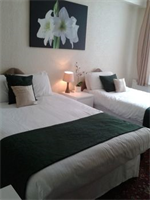 The Calypso Hotel