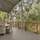 The Oasis Apartments and Treetop Houses - General - 23