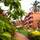 The Baga Marina Beach Resort & Hotel - Hotel - 2