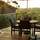 The Oasis Apartments and Treetop Houses - General - 24