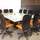 Citrus Hotels Sriperumbudur - Reuniones y eventos - 5
