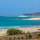 Occidental Boa Vista Beach - Playa - 14