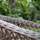 North Coast Guest House - General - 7