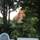 North Coast Guest House - Terraza - 24